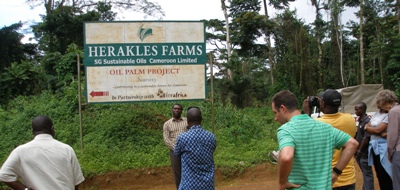 Herakles Farms must stop Unjust Lawsuits Against a Cameroonian Activists