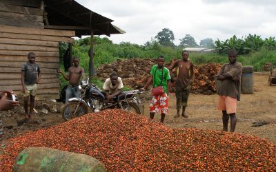 The New Theft of Africa: America’s Involvement in African Land Grabs