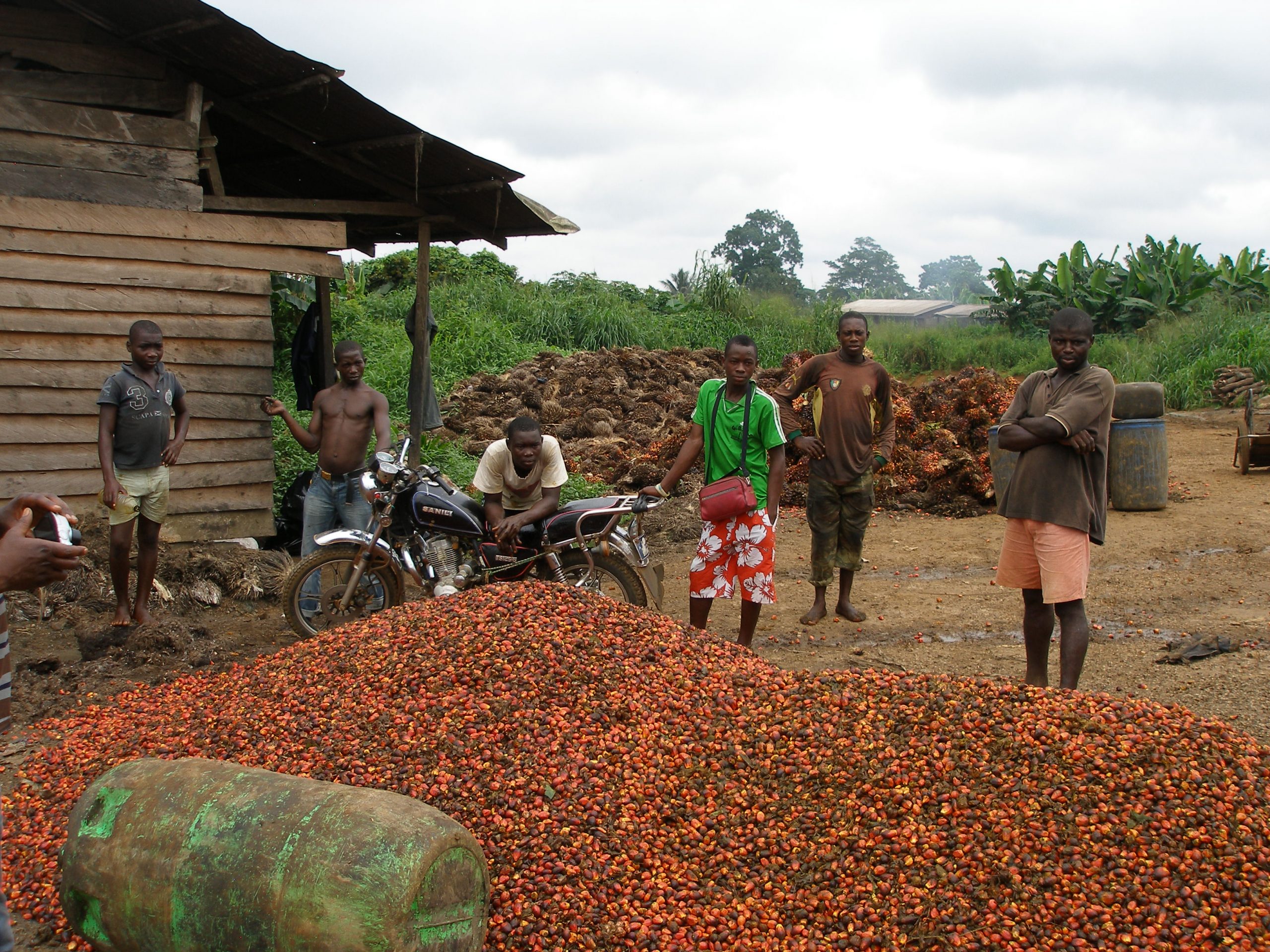 The New Theft of Africa: America’s Involvement in African Land Grabs