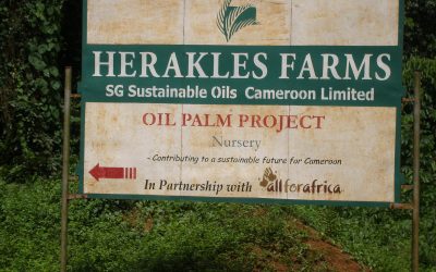 U.S Embassy in Cameroon Linked to Herakles Farms’ Land Grab