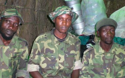 ADF-NALU is Africa Great Lakes’ version of Boko Haram