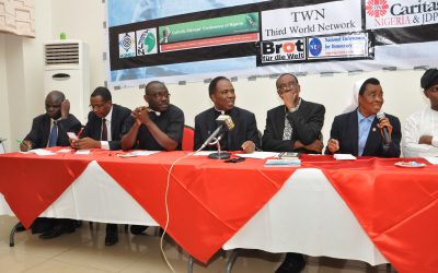 Just Governance: The Nigerian Bio-Safety Law, GMOs, and Implications for Nigeria and Africa