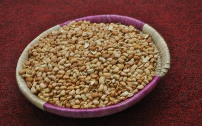 Seed Sovereignty Struggle vs. Genetic Modification of Africa’s Indigenous Seeds