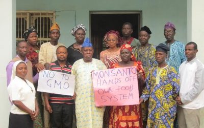 AFJN Women’s Empowerment: The Story of Sr. Theresa Anyabuike