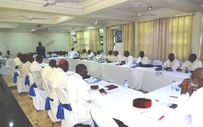 Land Grab and Environmental Pollution: Long Term Consequences for Ghanaians. A Briefing to the Ghana Catholic Bishops Conference