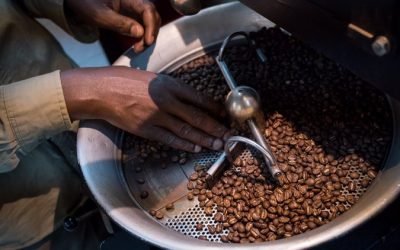 Coffee Industry Revives in DRC, Ghana
