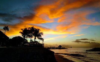 Seychelles Named Most Improved Country for Climate and Energy Strategies