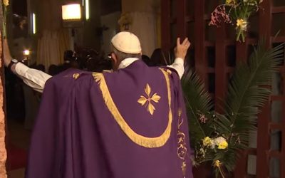 Pope Francis visits African countries and professes the Gospel while calling for social justice