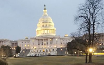 US Democracy Promotion in Africa Post January 6th Riots – Video Premiere