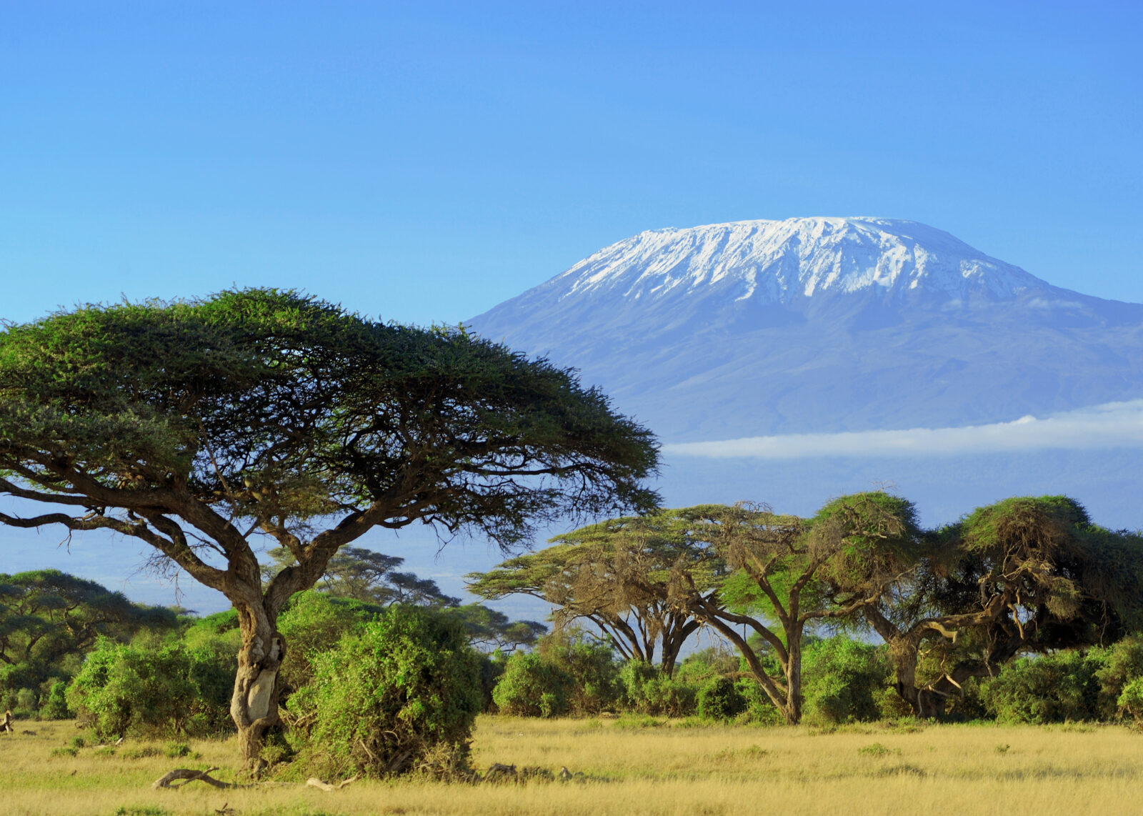 Snow on top of Mount Kilimanjaro in Amboseli