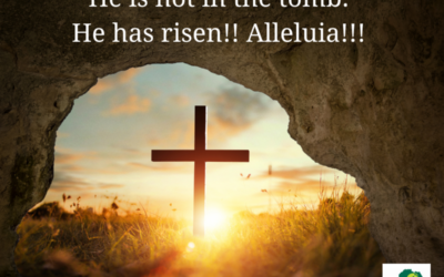 Happy Easter! Christ is Risen! Alleluia!