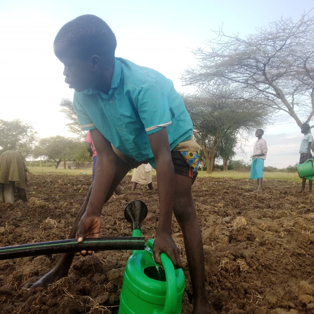 A member of Young Farmers' Club set to water the plants in Lokopo Primary School Napak