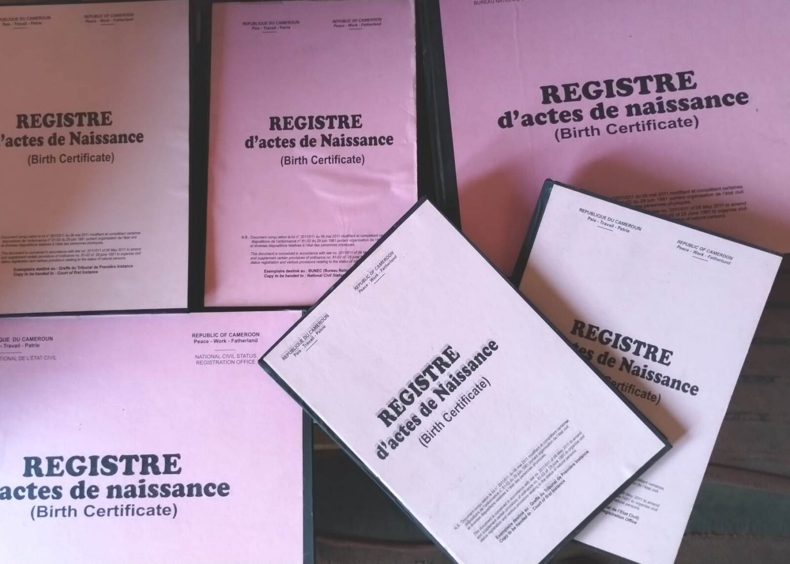 Birth registry