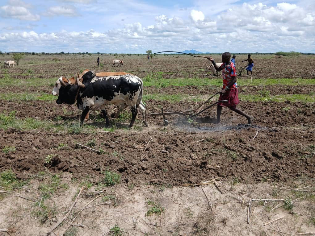 AFJNFood-Sovereignty
